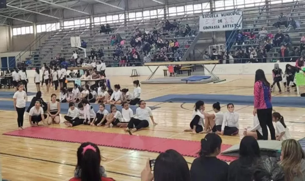 gimnasia cipo