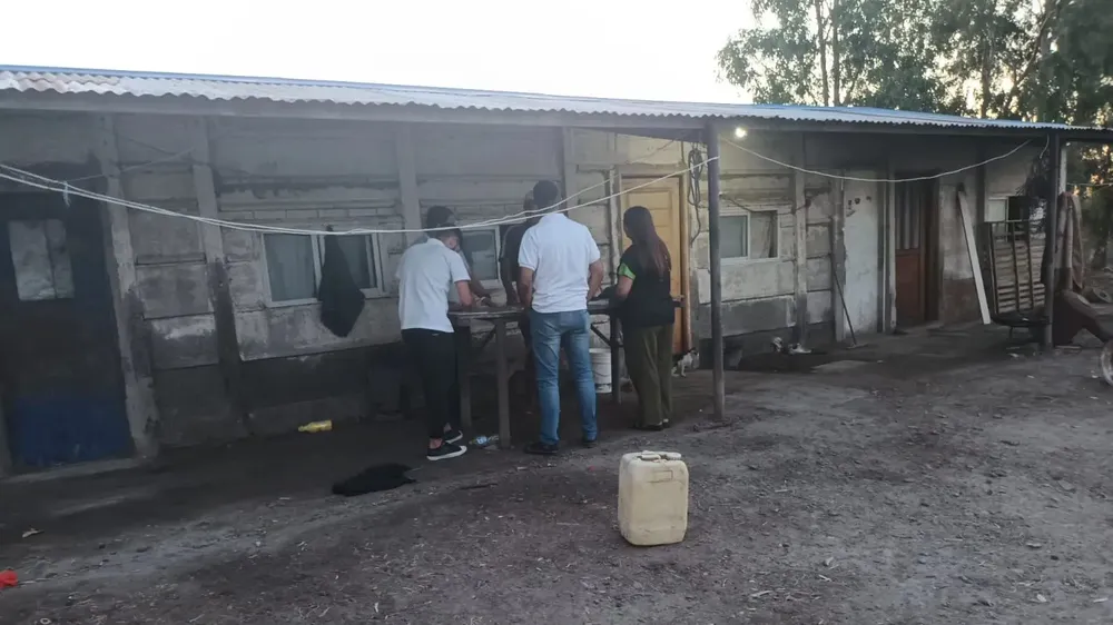 inspeccion de trabajo rn