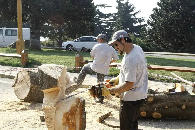 escultores en madera bariloche