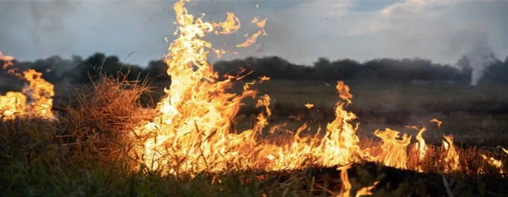 incendios