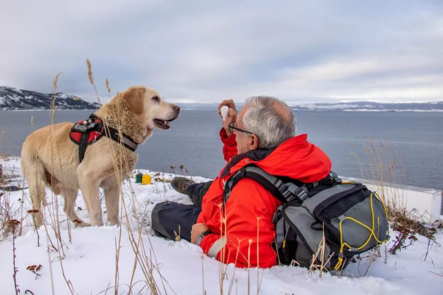 perro ushuaia1