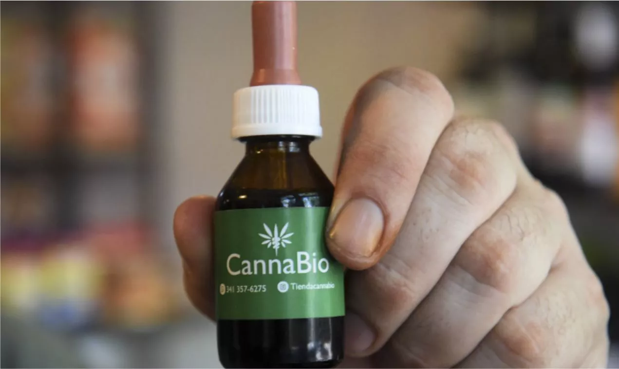 cannabis