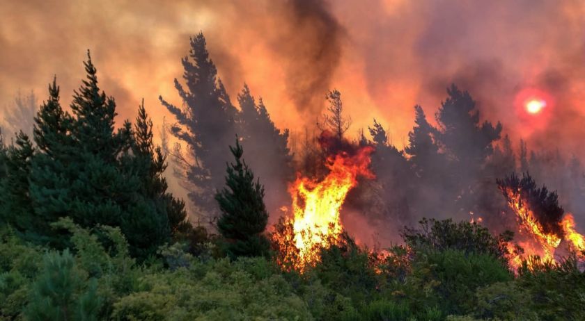 incendio-chubut-30-01-2019-613491