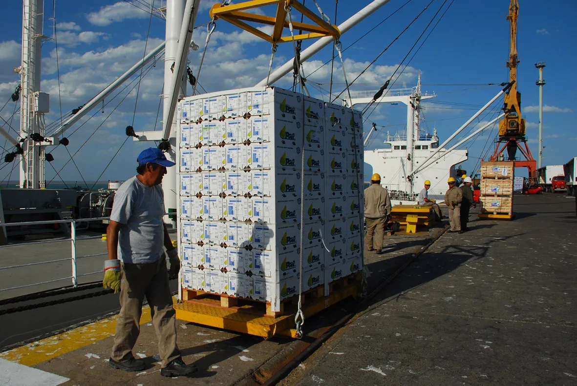 exportacion peras y manzanas