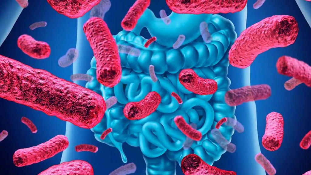 microbiota intestinal