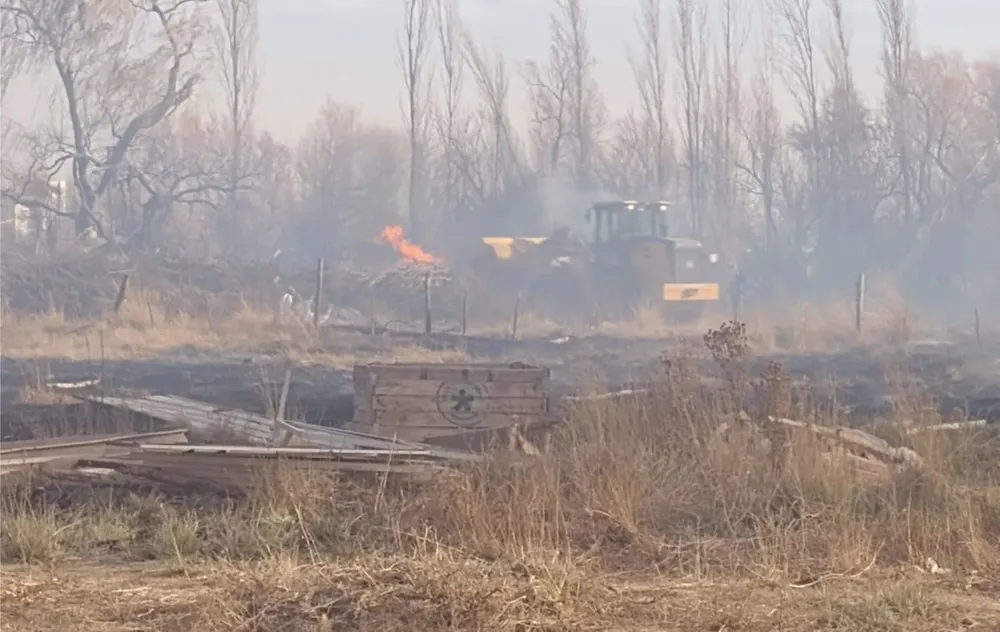 alertra cipo 1