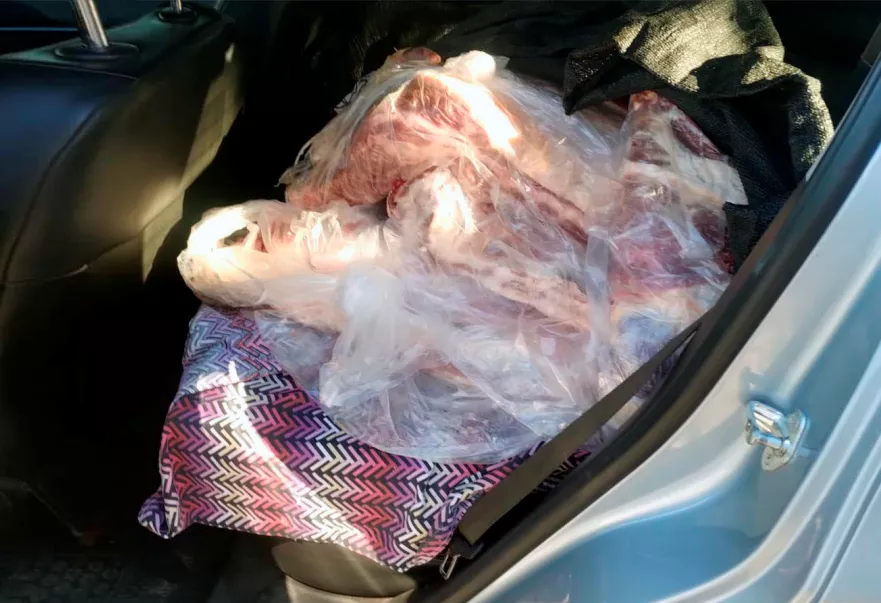 carne