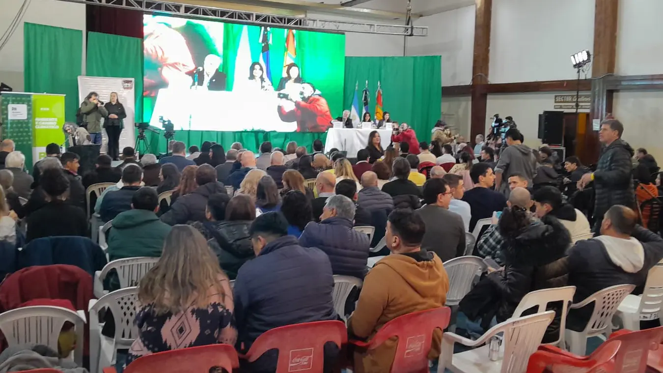 audiencia calcatreu