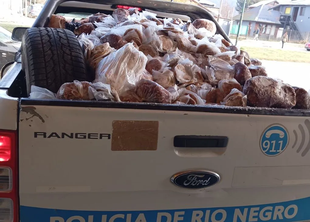 decomiso carne