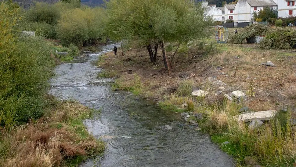 arroyo Ñireco bche