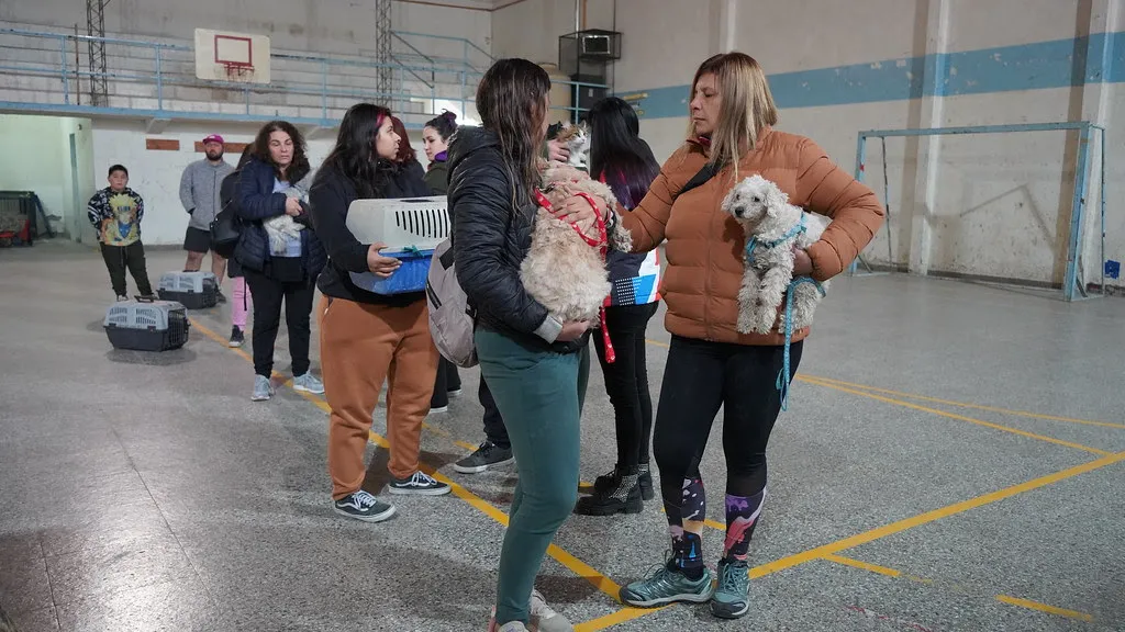 vacunacion perros