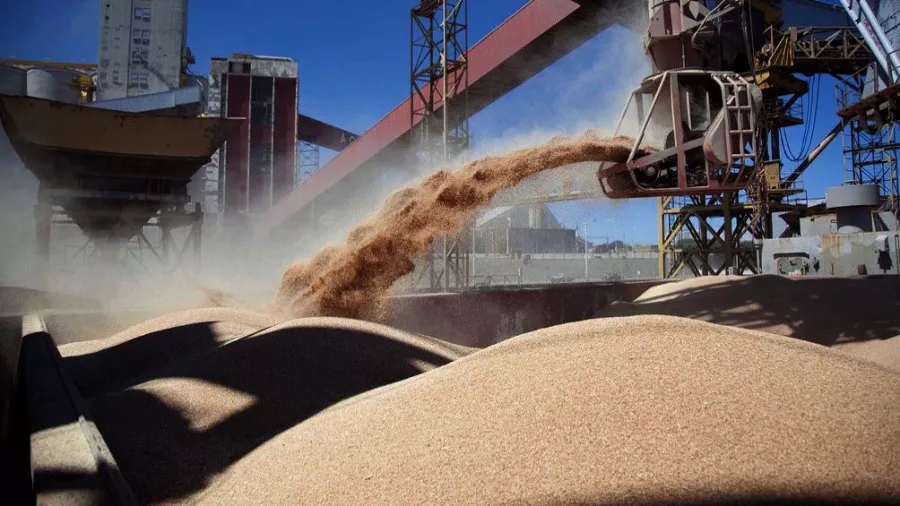 La agroexportación es una de las actividades más representativas en argentina