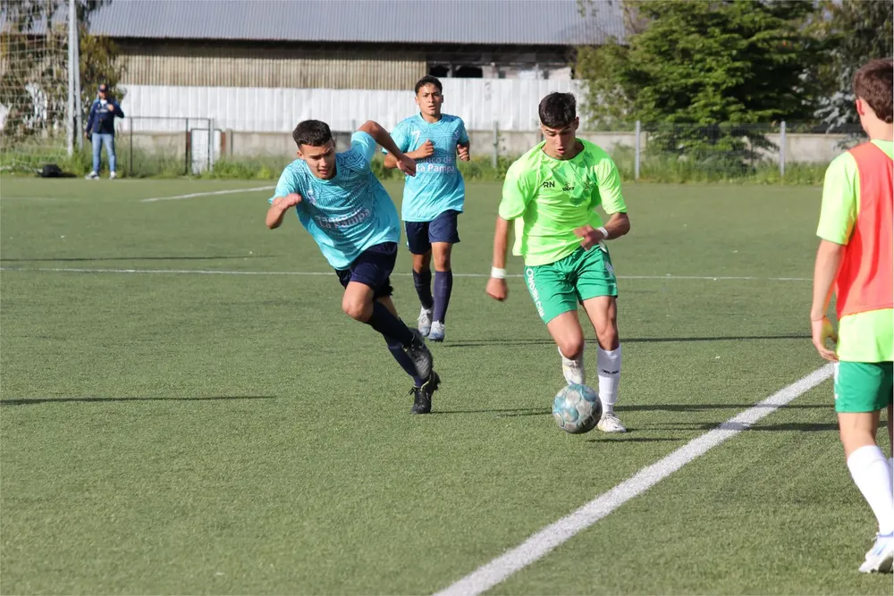 futbol araucania