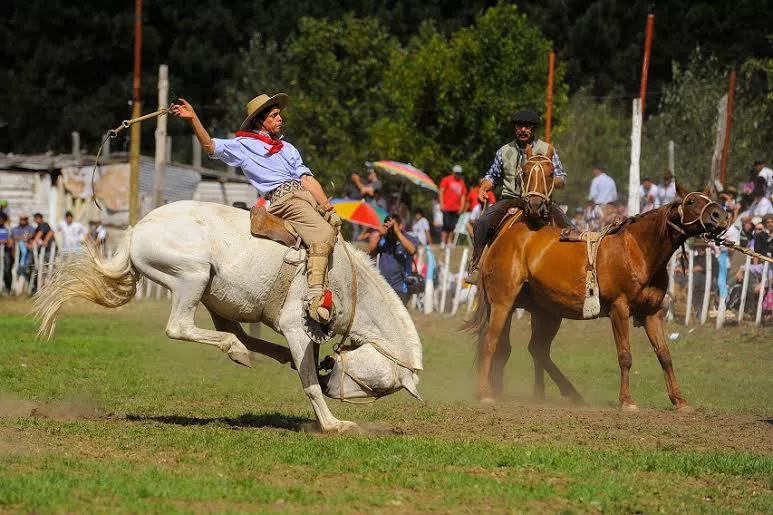 Fiesta Nacional del Puestero