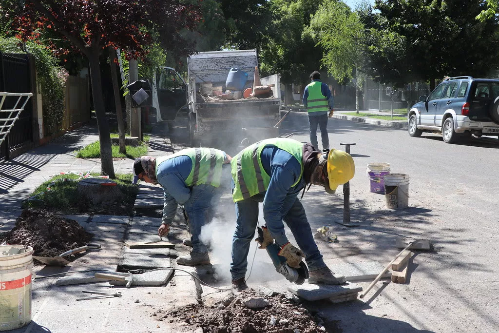 Empleados planta cipo