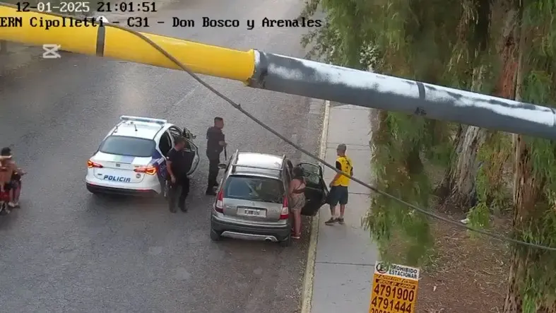 detendos cipo