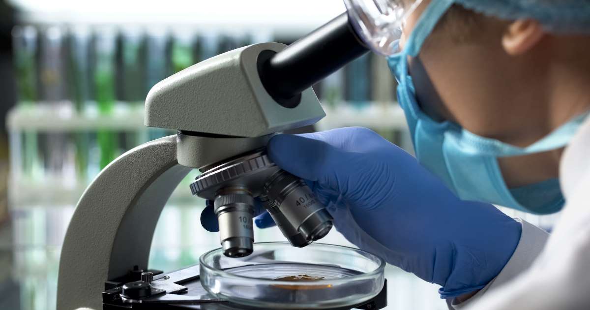 Laboratorio