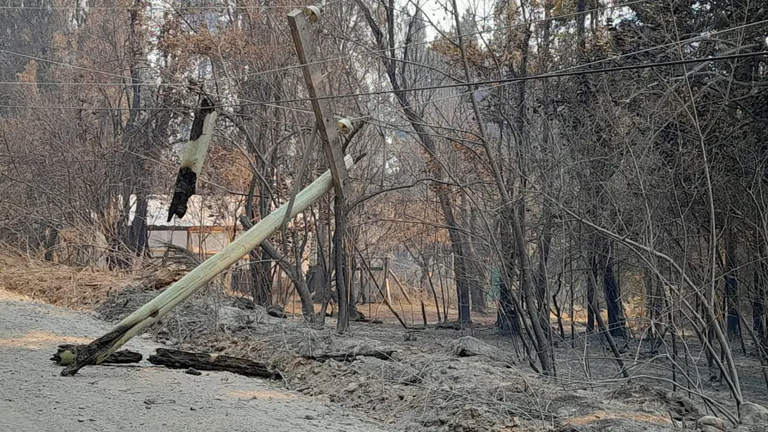 incendios forestales el bolson
