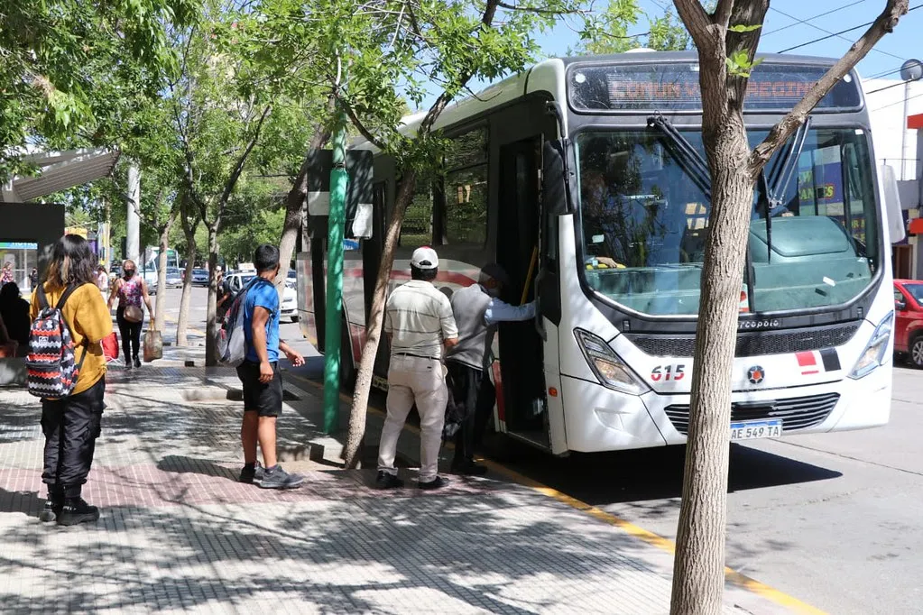 colectivo cipo