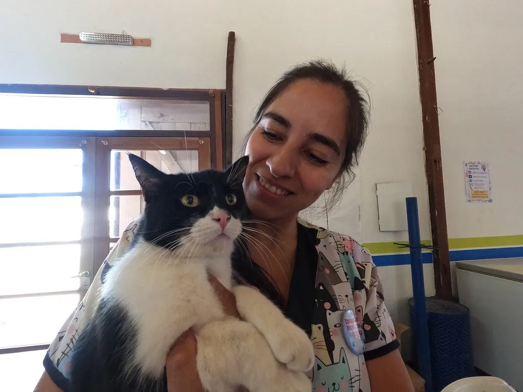 vacuna gato cipo
