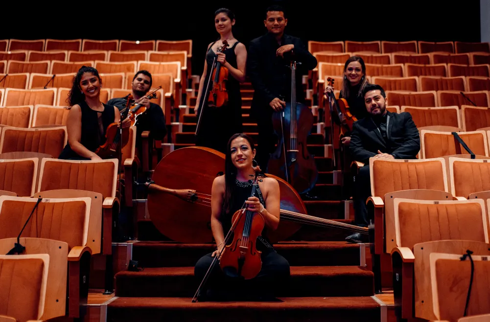 ensamble de cuerdas alto valle