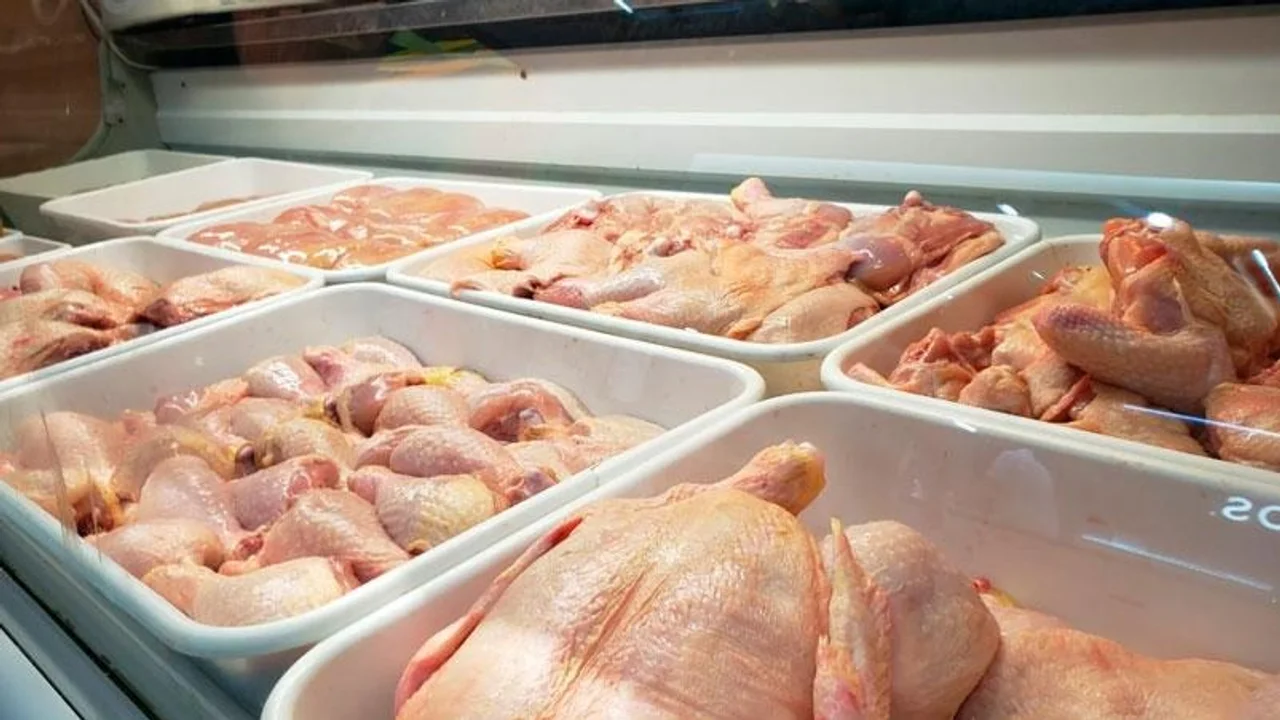 pollo
